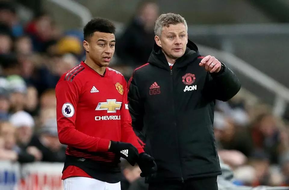 广受欢迎的 广受欢迎的