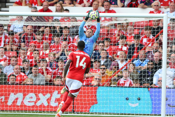 这不仅彰显 这不仅彰显