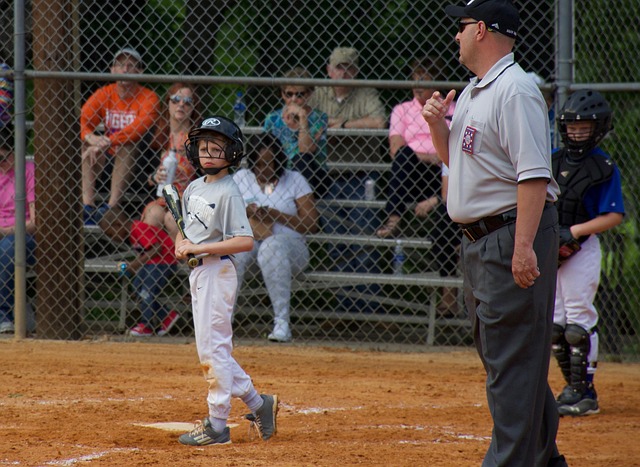 潜力和市场 潜力和市场